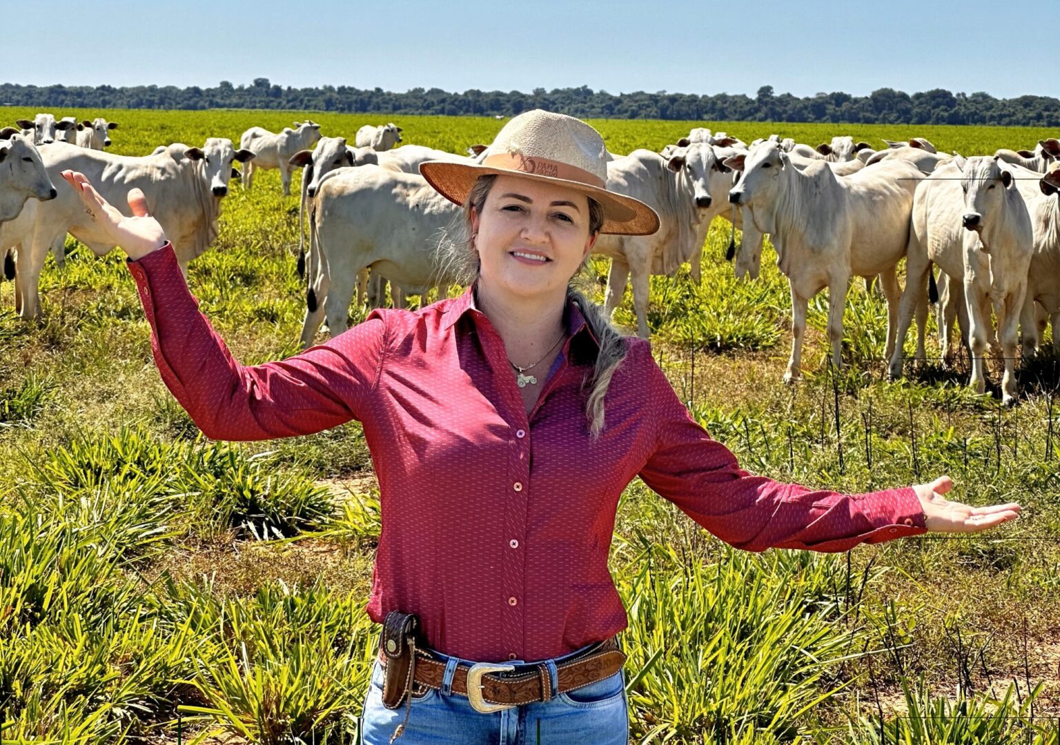 Nelore Dama: um sonho cada vez mais real nelore-dama:-um-sonho-cada-vez-mais-real