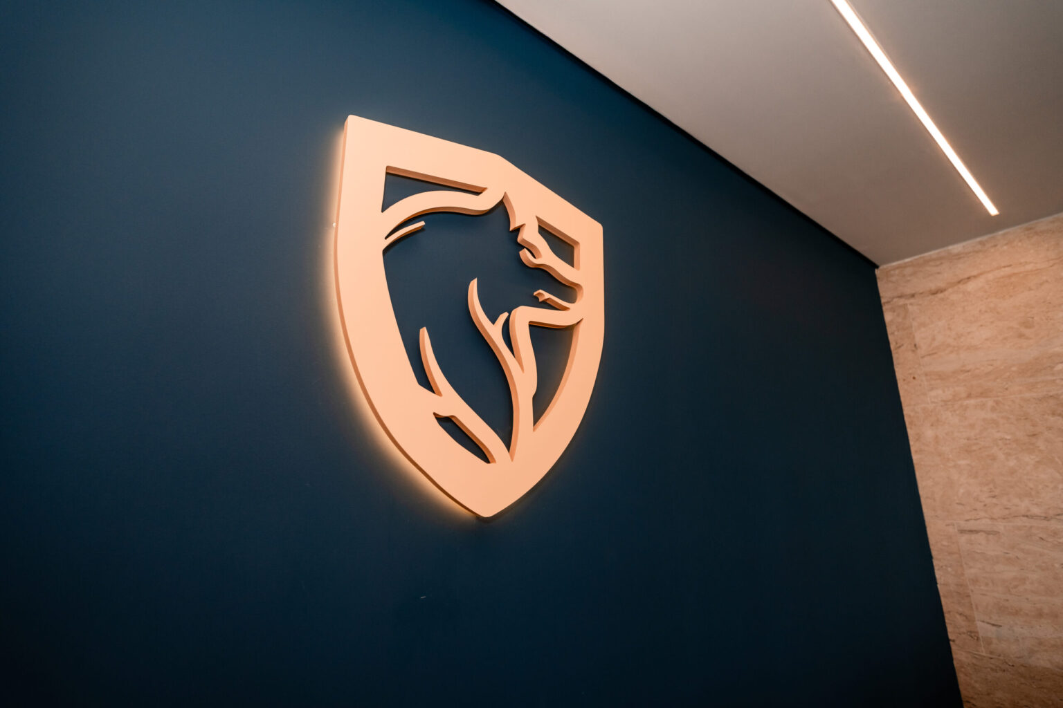 Shield Bank lança projeto de educação financeira para jovens e adultos. shield bank lanca-projeto-de-educacao-financeira-para-jovens-e-adultos.