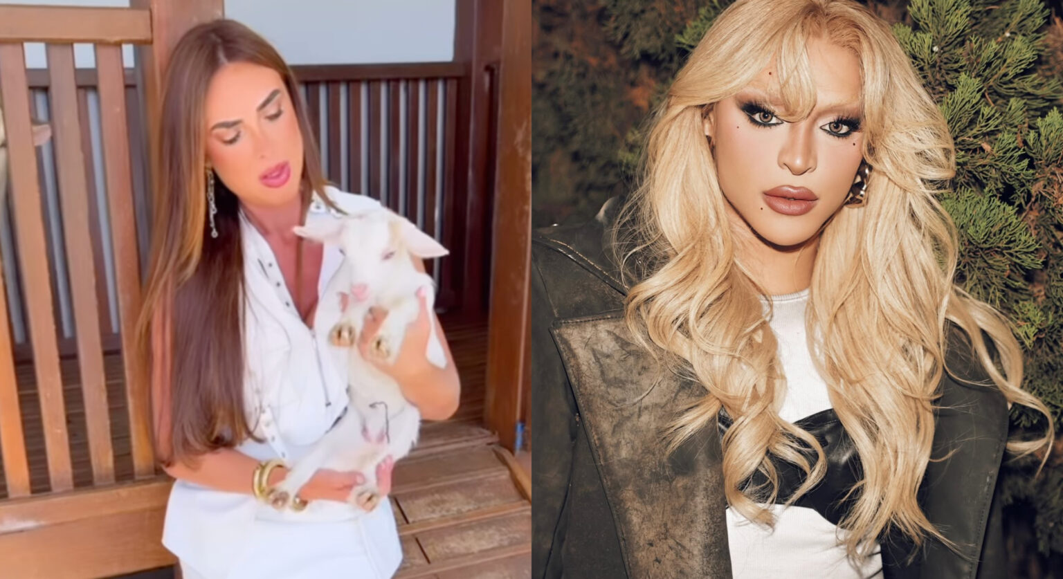 Pabllo Vittar virou mãe! Cabra de Nicole Bahls, que leva nome da drag queen, ganha filhote pabllo-vittar-virou-mae!-cabra-de-nicole-bahls,-que-leva-nome-da-drag-queen,-ganha-filhote